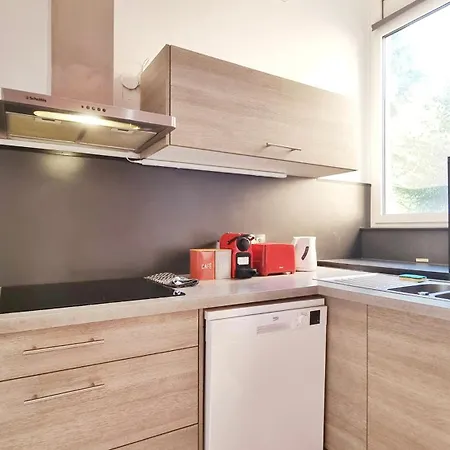 Le Léon D'or - - 4 Ou 6 Pers Apartamento *